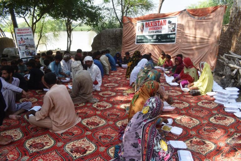 Pakistan flood relief 10
