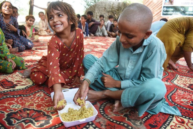 Feed the hungry 2