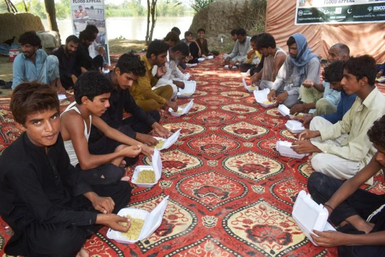 Feed the hungry 1
