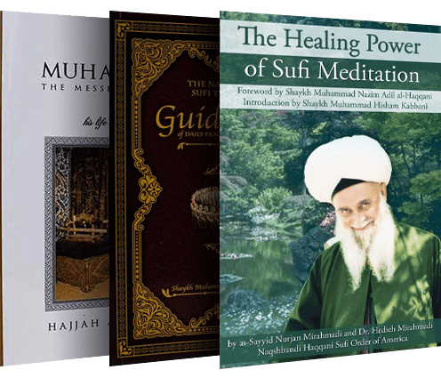 Hajjah Naziha Organisation