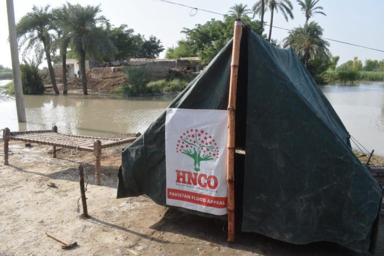 Pakistan flood relief 2