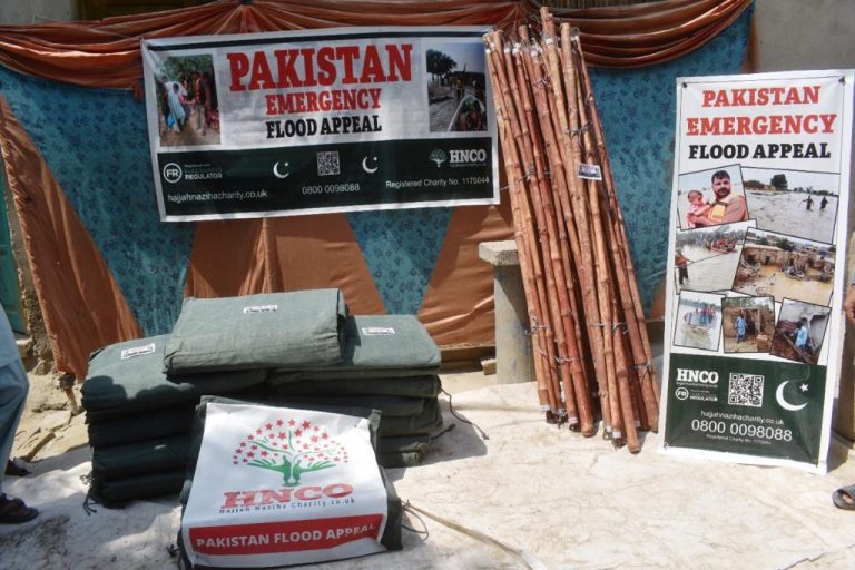 Pakistan flood relief 19