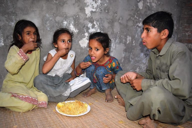 Feed the hungry 29